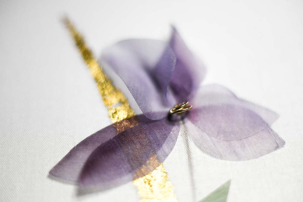 a closeup to iris flower